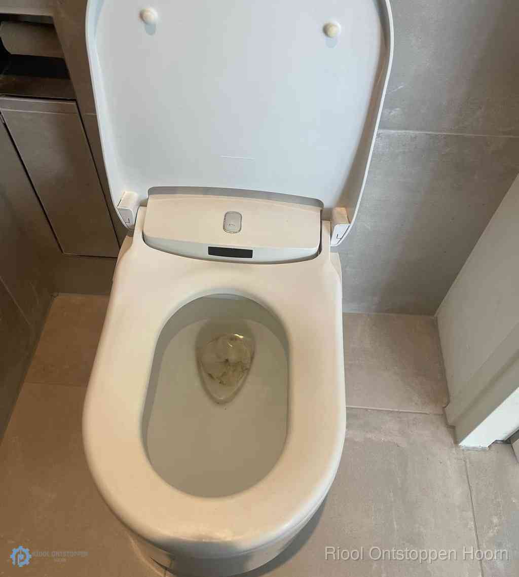 Toilet Ontstoppen Hoorn